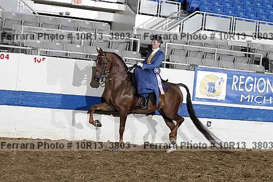 Proof Number 10r13_3803