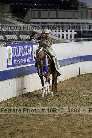 Proof Number 10r13_3806
