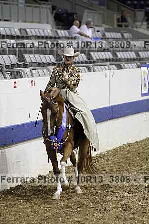 Proof Number 10r13_3808