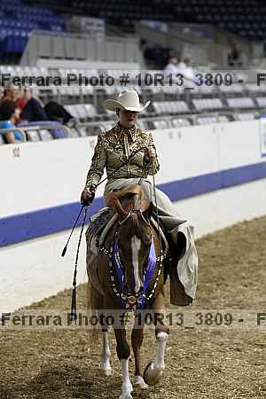 Proof Number 10r13_3809