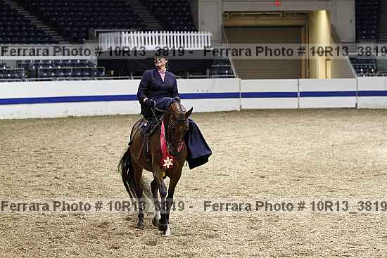Proof Number 10r13_3819