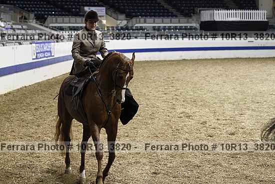 Proof Number 10r13_3820