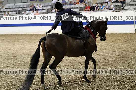 Proof Number 10r13_3821