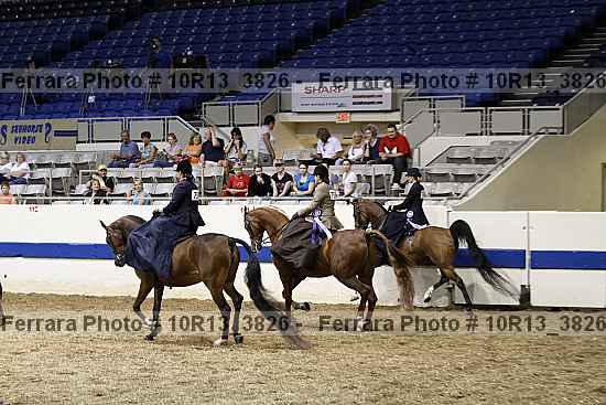 Proof Number 10r13_3826