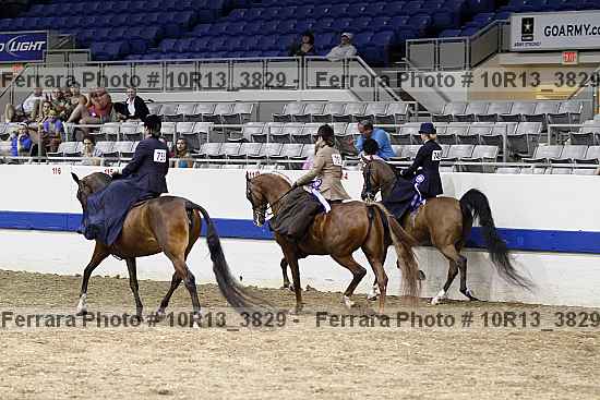 Proof Number 10r13_3829
