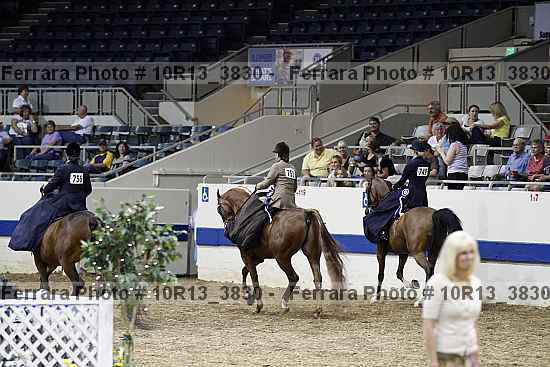 Proof Number 10r13_3830