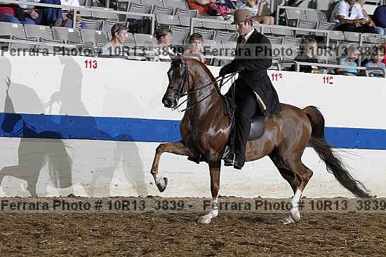 Proof Number 10r13_3839