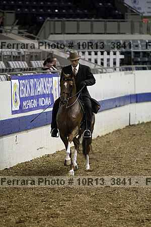 Proof Number 10r13_3841