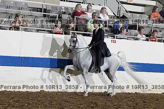 Proof Number 10r13_3858