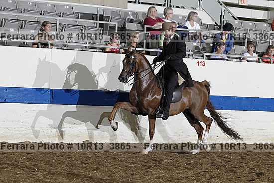 Proof Number 10r13_3865