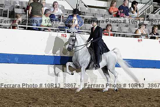 Proof Number 10r13_3867
