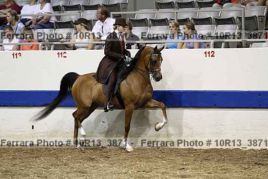 Proof Number 10r13_3871