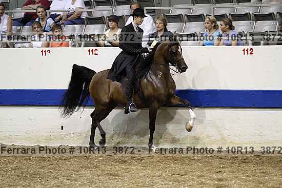 Proof Number 10r13_3872