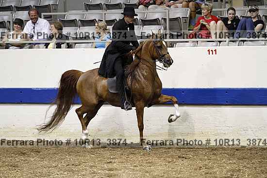 Proof Number 10r13_3874