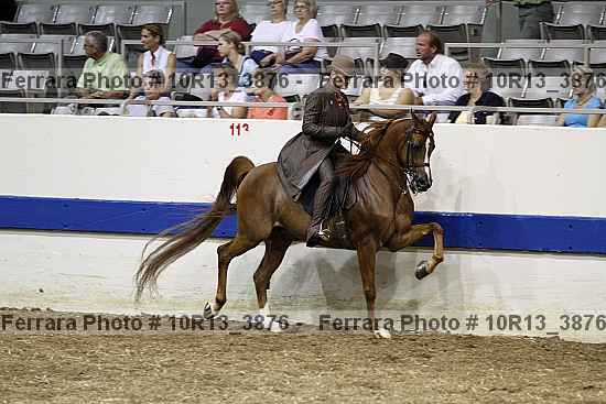 Proof Number 10r13_3876