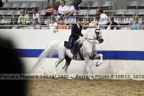 Proof Number 10r13_3878