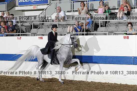 Proof Number 10r13_3880