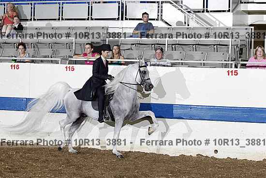 Proof Number 10r13_3881