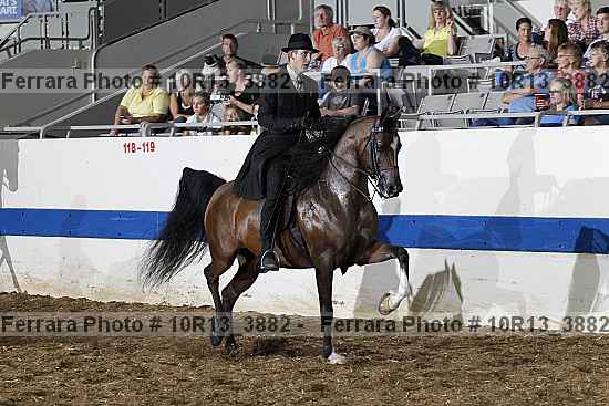 Proof Number 10r13_3882