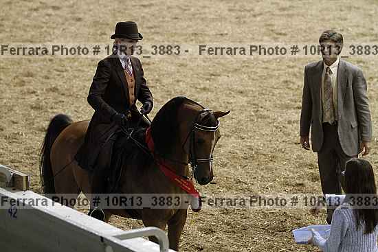 Proof Number 10r13_3883