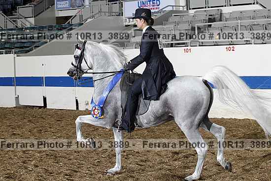 Proof Number 10r13_3889