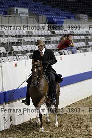 Proof Number 10r13_3893