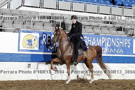 Proof Number 10r13_3894