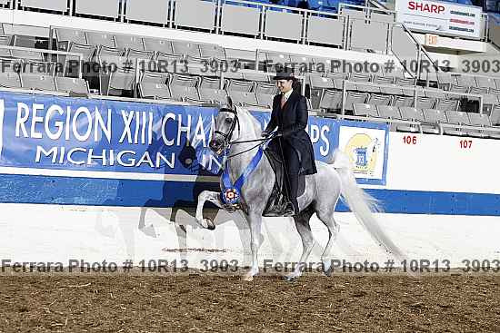 Proof Number 10r13_3903