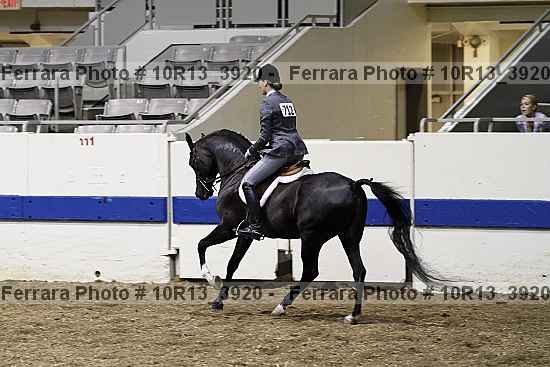 Proof Number 10r13_3920