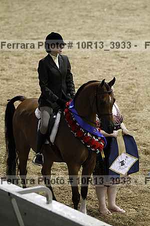 Proof Number 10r13_3933