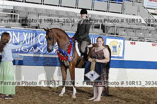 Proof Number 10r13_3934