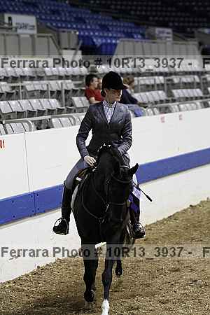 Proof Number 10r13_3937
