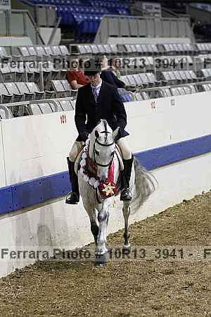 Proof Number 10r13_3941