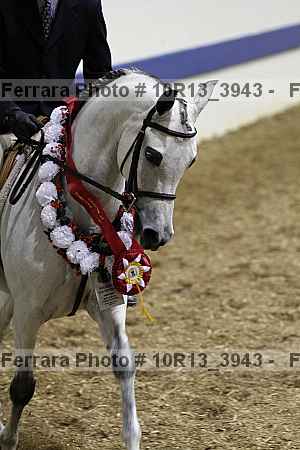 Proof Number 10r13_3943