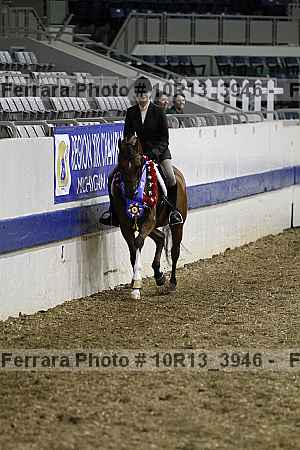 Proof Number 10r13_3946