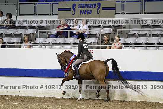 Proof Number 10r13_3950