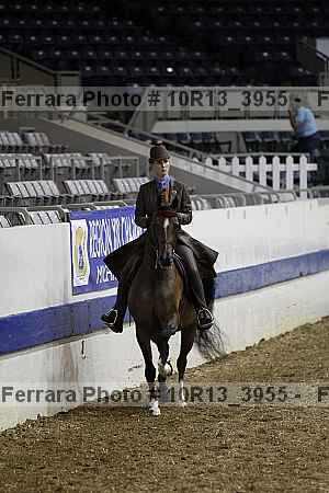 Proof Number 10r13_3955