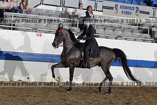 Proof Number 10r13_3958