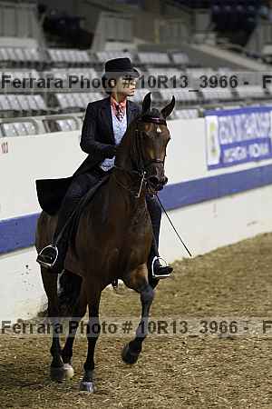 Proof Number 10r13_3966