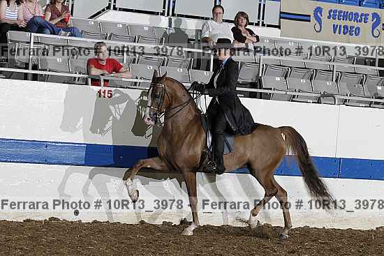 Proof Number 10r13_3978