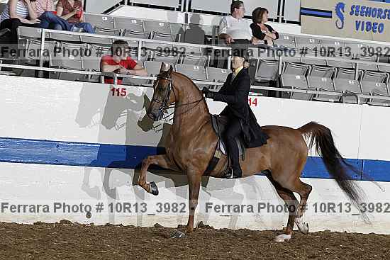 Proof Number 10r13_3982