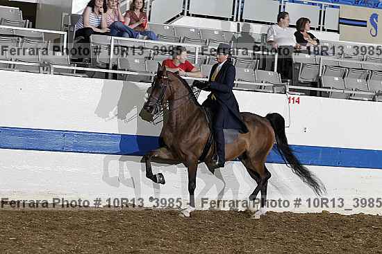 Proof Number 10r13_3985