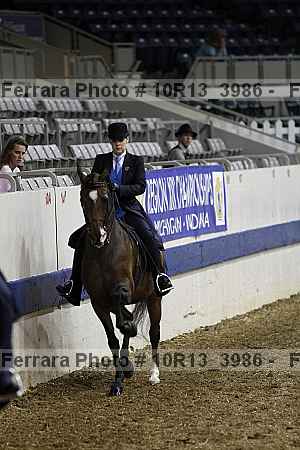 Proof Number 10r13_3986