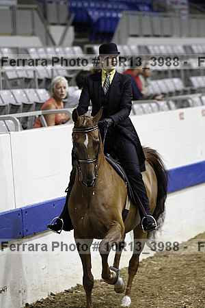 Proof Number 10r13_3988