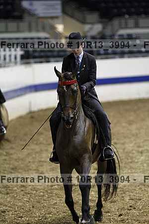 Proof Number 10r13_3994