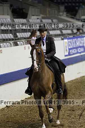 Proof Number 10r13_3995