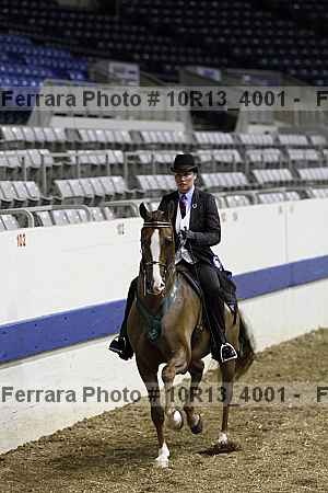 Proof Number 10r13_4001