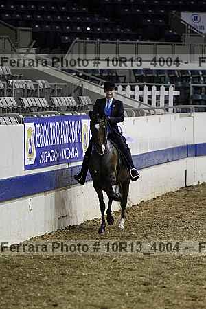 Proof Number 10r13_4004