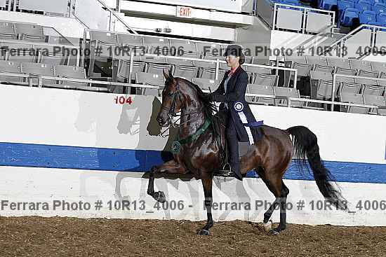 Proof Number 10r13_4006