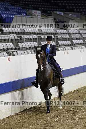 Proof Number 10r13_4007